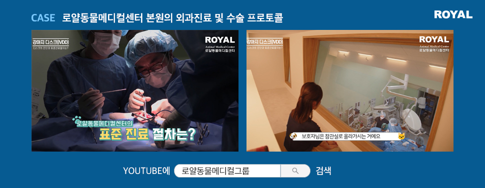반려동물 질환별 치료법 12