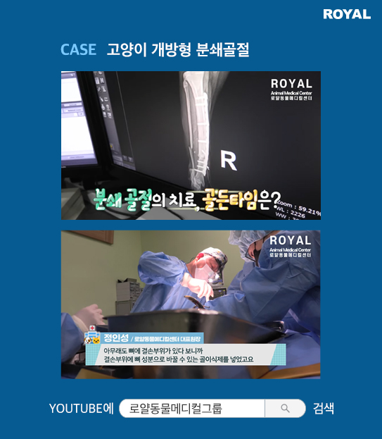 반려동물 치료 사례 8