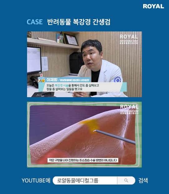 반려동물 치료 사례 9
