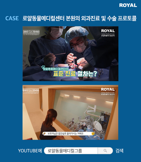 반려동물 치료 사례 12