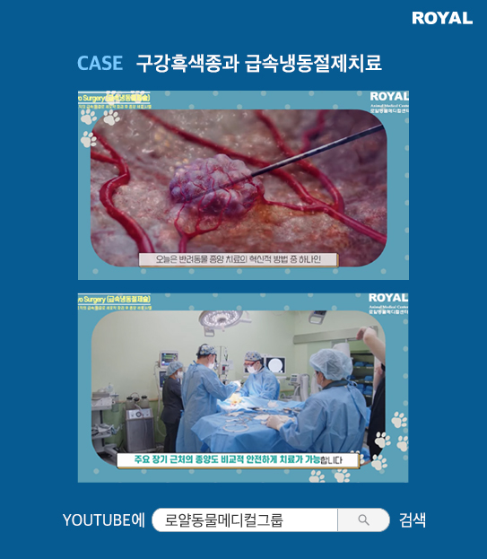 반려동물 치료 사례 13