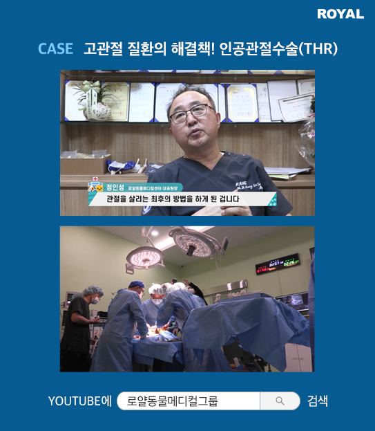 반려동물 치료 사례 14