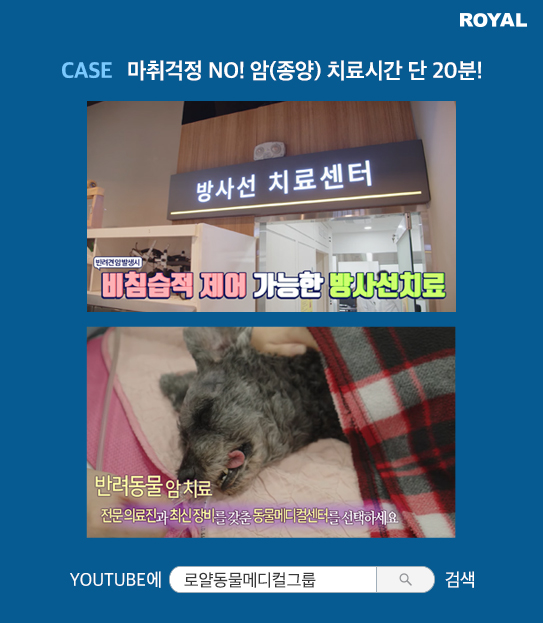 반려동물 치료 사례 15